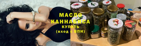 крисы Бородино