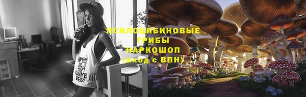 крисы Бородино