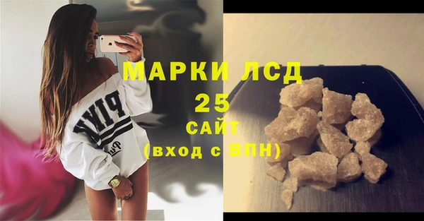 крисы Бородино