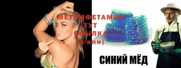 крисы Бородино