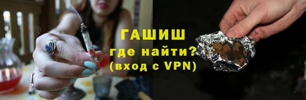 крисы Бородино