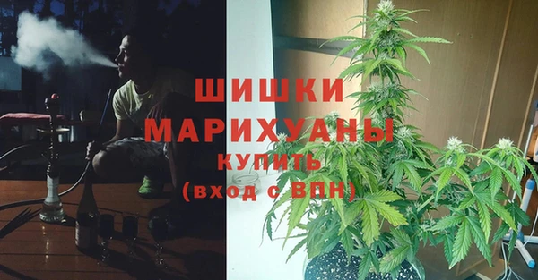 крисы Бородино