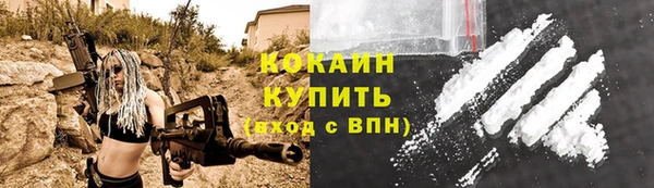 крисы Бородино