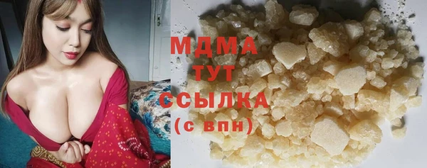 крисы Бородино