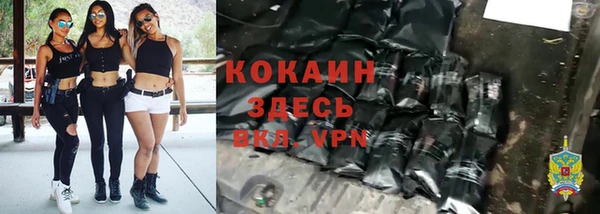 крисы Бородино