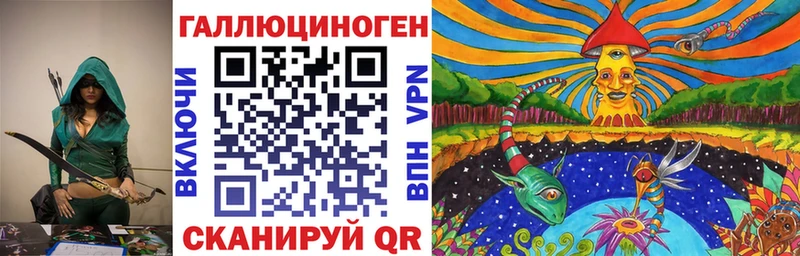 Псилоцибиновые грибы Psilocybe Козловка